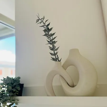 Appartement Vaschome *